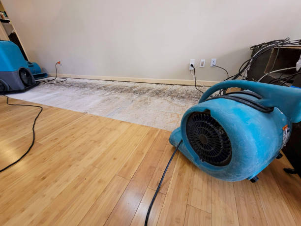 Professional Water Damage Repair technician working in Troy, OH